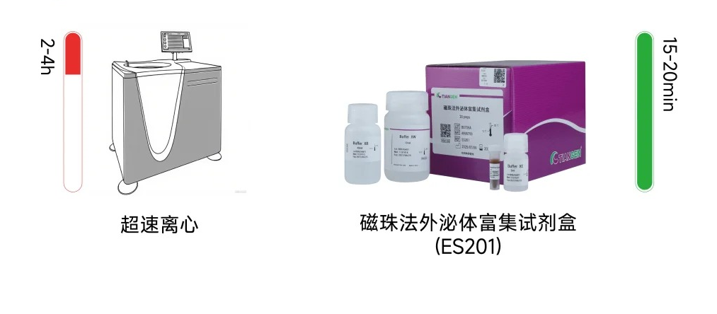 【华亿体育电竞】（中国）有限公司磁珠法外泌体富集试剂盒优势总览图